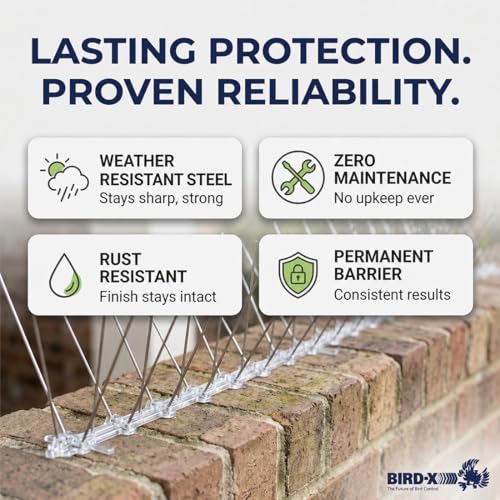 Bird-X Stainless Bird Spikes 8-Inch Extra-Wide, 2 Ft Strips, 100 Feet - size: 4.1 Oz