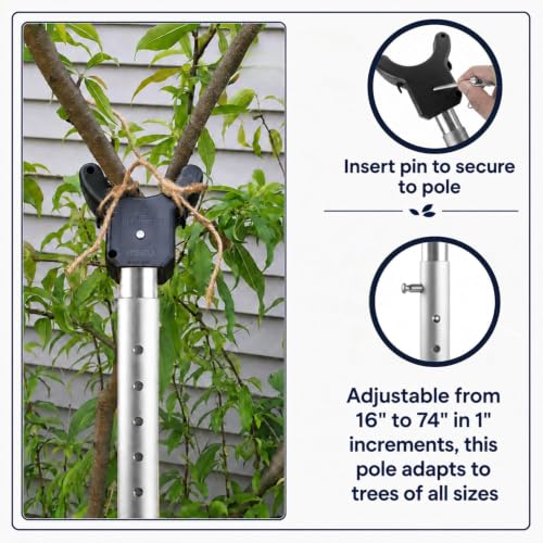 Tree Branch Support Pole & Crutch – Protect Limbs from Breaking (1-Pack) - color: Crutch & Post Set, size: 1-Pack