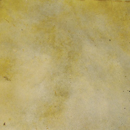 Concrete Acid StainSemi-Transparent Professional Grade Cement Stain (16 Ounce, Honey Oat) - color: Honey Oat, size: 0.125 Gallon