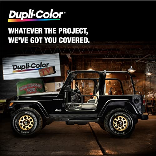 Dupli-Color DAP1687 General Purpose Sandable Rust Resistant Primer - 12 oz. - color: Rust Resistant, size: 12 Ounce (Pack of 1)