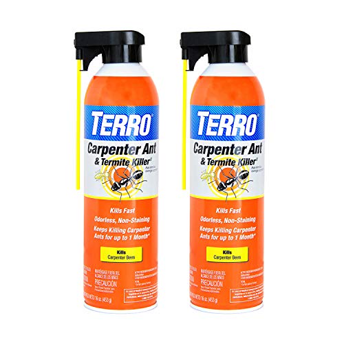 TERRO Ready to Use Indoor and Outdoor Carpenter Ant, Termite, and Carpenter Bee Killer Aerosol Spray - T1901SR - 2 Pack, 32 Total Ounces - style: 2 Pack