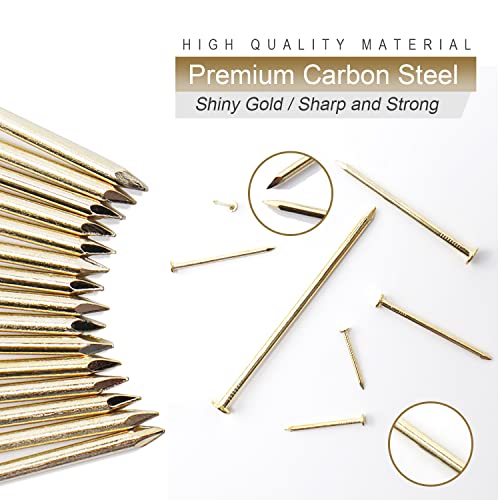 JEGONFRI 240PCS 1-1/2" x 14Ga Brass Plated Nails for Hanging Pictures - color: Gold, size: 1-1/2 In , 240 Pcs