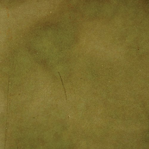 Acid Concrete Stain Professional Grade - Moss Green, 16 Ounce - color: Mossy Oak, size: 0.125 Gallon