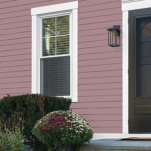 Glidden Total Exterior Paint & Primer All-in-One, Coffee Rose/Purple, Flat, 1 Gallon - color: Coffee Rose, size: 128 Fl Oz (Pack of 1)