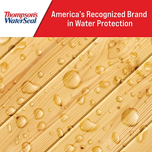 Thompson’s WaterSeal Multi-Surface Waterproofer Stain, Clear, 12 oz Aerosol Can - size: 12 Ounce (Pack of 1)
