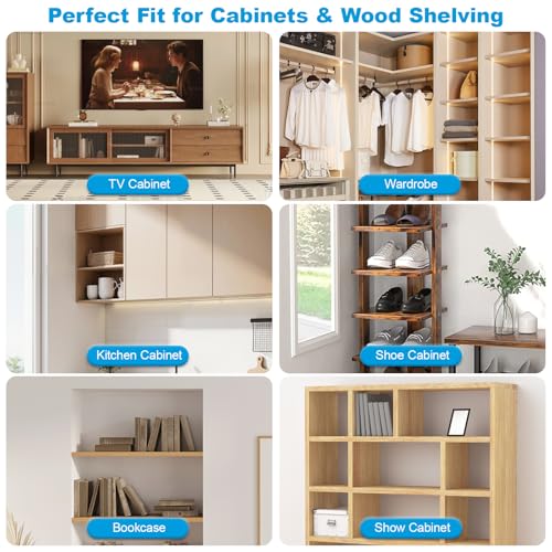 80 Pcs Shelf Pegs Pins Kit, 4 Styles Heavy Duty 5mm 1/4 Inch Shelf Support Pegs Holders, Nickel Plated Cabinet Shelf Clips for Kitchen Wood Shelves Bookcase
