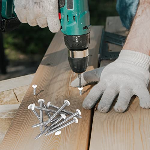White Head 100 PCS #6x1-1/2(1.5 inch) Stainless Steel Phillips Pan Head Wood Screws,White Coated Screws Covers Head Wood Screws,Stainless Steel 18-8 A2(304) Screw,Home Screw Kit by QISHENG - size: #6 x 1.5 inch
