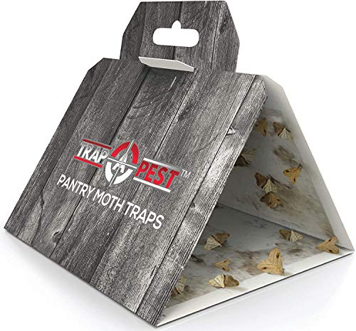 Trap a Pest Pantry Moth Traps - Pheromone Lure Glue Traps - 12 Pack - size: 12 Pack