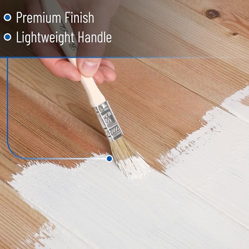 Bates- Chip Paint Brushes, 1/2 Inch, 24 Pack, Chip Brush, Brushes for Painting, Paint Brushes, Stain Brushes for Wood, Natural Bristle Paint Brush, 1/2 Inch Paint Brush, Chip Paint Brushes for Paint - size: 0.5 Inch, 24 Pack
