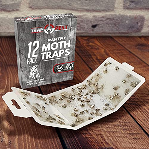 Trap a Pest Pantry Moth Traps - Pheromone Lure Glue Traps - 12 Pack - size: 12 Pack