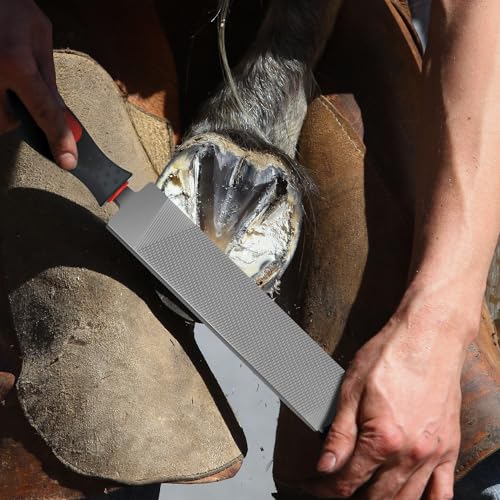 Gisafai 2 Pcs 18 and 12 Inch Rasps for Shoeing Horses with Handle Trimming File Carbon Steel Farrier Tools for Repair Horse Hooves Goat Hooves Cow Donkey Pig Animal Repairing Wood Working Supplies - size: 18/12 Inch