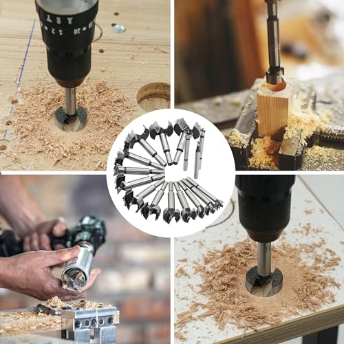 GMTOOLS Forstner Bit Set, 16PCS Forstner Drill Bits for Wood, Carbide Forstner Bit for Woodworking, Auger Opener Round Shank Drilling Cutting Tool for Hardwood, Softwood, Plastic, Plywood - style: 16PCS Forstner Drill Bits