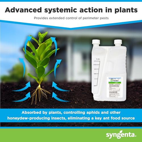 Tandem Insecticide 1 Quart