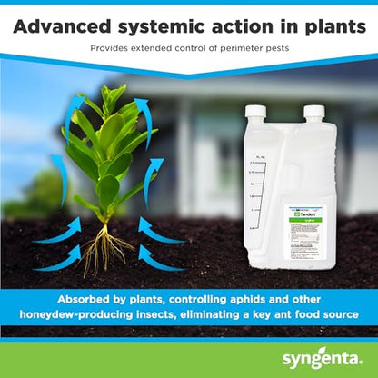 Tandem Insecticide 1 Quart