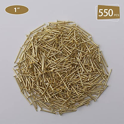 JEGONFRI 550PCS 1" x 16Ga Brass Plated Finishing Nails - color: Gold, size: 1 In , 550 Pcs