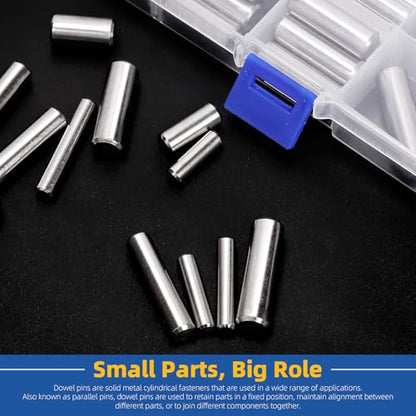 Glarks 60pcs 6/8/10mm Dowel Pins Kit, 12 Sizes 304 Stainless Steel Cylindrical Shelf Support Peg Pin Fasten Elements, Wood Bunk Bed Dowel Pins Shelf Pegs for Cabinet and Furniture Installation - size: M6 M8 M10