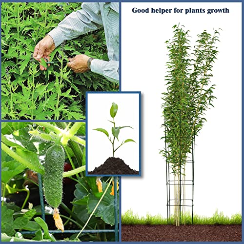 46 Inch Height 3PCS PVC Green Hexagon Folding Tomato Cage,Climbing Plant Support Tower Vegetable Stake Trellis - size: 46in Hex-PVC Green-3Pack
