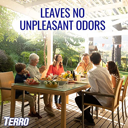 TERRO T1901-6 Ready to Use Indoor and Outdoor Carpenter Ant, Termite, and Carpenter Bee Killer Aerosole Spray - 16 Ounces - style: 1 Pack