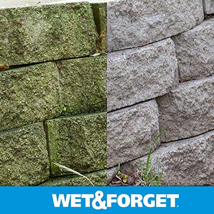 Wet & Forget Outdoor Cleaner & Stain Remover, Hose End Refill, 48oz - style: Hose End Refill 48 oz (Pack of 1)