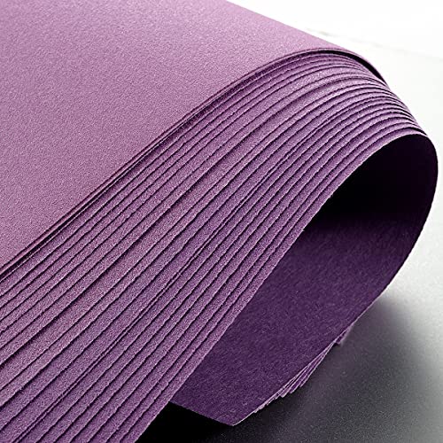 Sandpaper 120 Grit, Wet Dry Sanding Sheets 9 x 11 Inch, Advanced White Fused Alumina Abrasive Sander Paper for Wood Furniture Finishing, Metal Sanding, Automotive Polishing,12-Sheets - style: 120 Grit