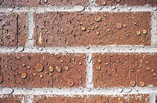 PROSOCO Sure Klean Weather Seal Siloxane PD - Great Water-Based Brick Sealer - size: 1