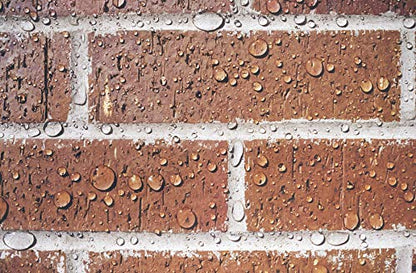 PROSOCO Sure Klean Weather Seal Siloxane PD - Great Water-Based Brick Sealer - size: 1