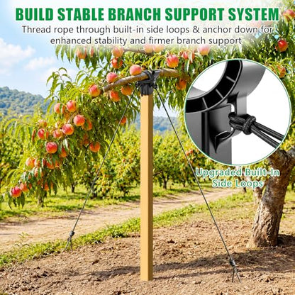KJX 2 Pack Upgraded Tree Crutches, Fruit Tree Branch Supports - color: Black-2Pcs